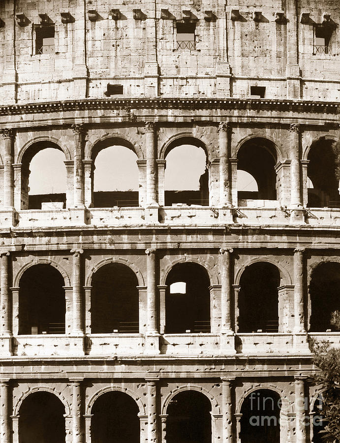 Colosseum Photograph by Granger