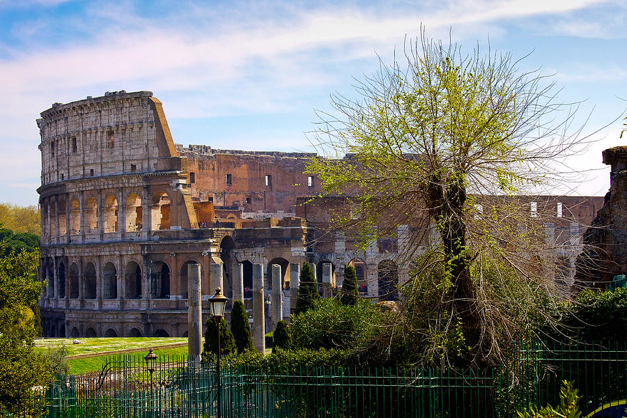 Colosseum in Spring Photograph by Walt  Baker