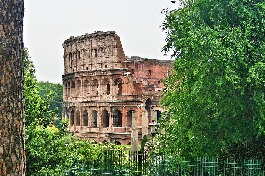 Colosseum in the Trees Photograph by Gordon Elwell