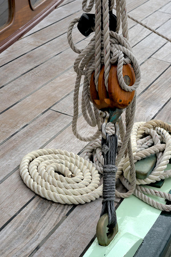 Rope Photograph - Colour Palette by Anthony Davey