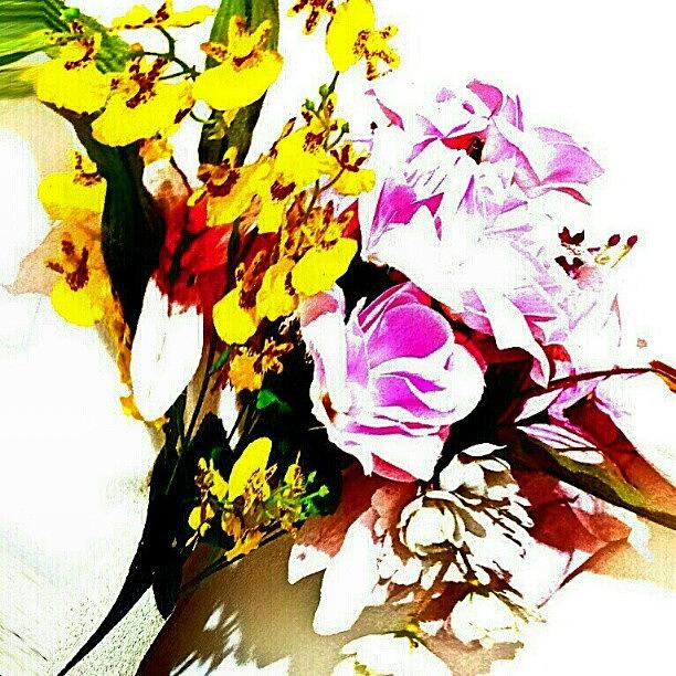 Ipad Photograph - Coloured Flowers by Rafa Andro