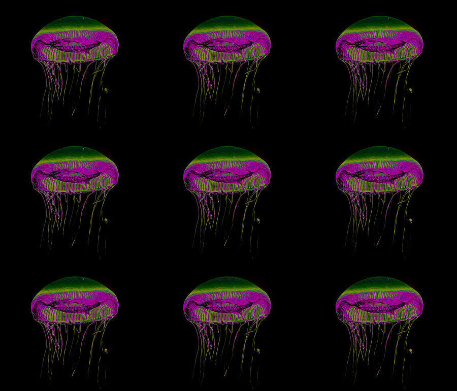 Colourful Jellyfish Digital Art by Roy Pedersen