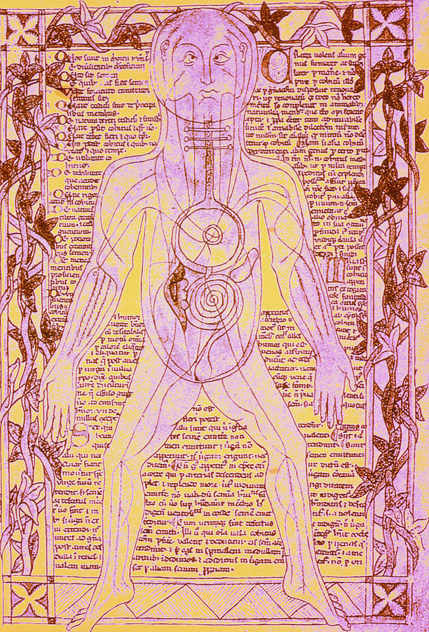 Coloured Medieval Drawing Of Human Venous System Photograph by Mehau Kulyk/science Photo Library