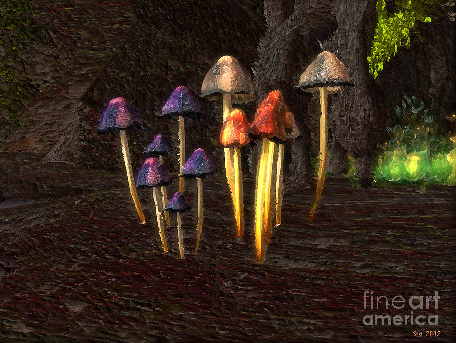Coloured mushrooms Photograph by Susanne Baumann