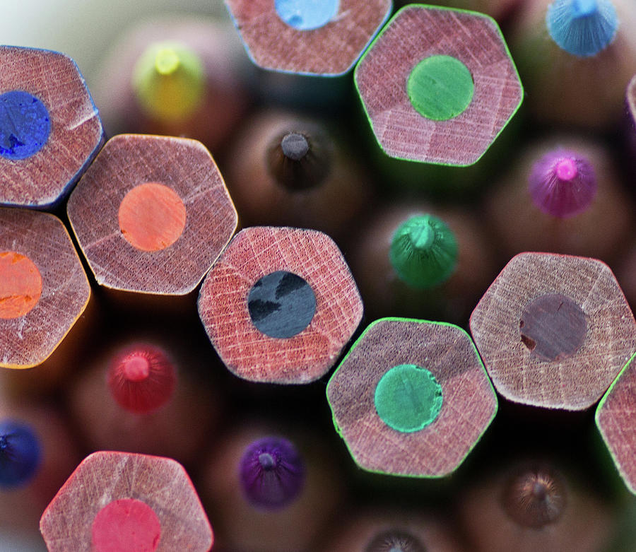 Coloured Pencils Photograph by Margaret Ford
