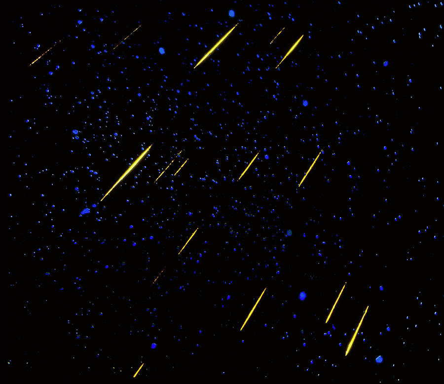 Coloured Photograph Of Leonid Meteor Shower Photograph by David Mclean/science Photo Library