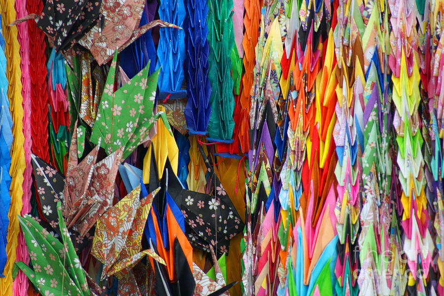 Colourful Cranes Photograph by Cassandra Buckley