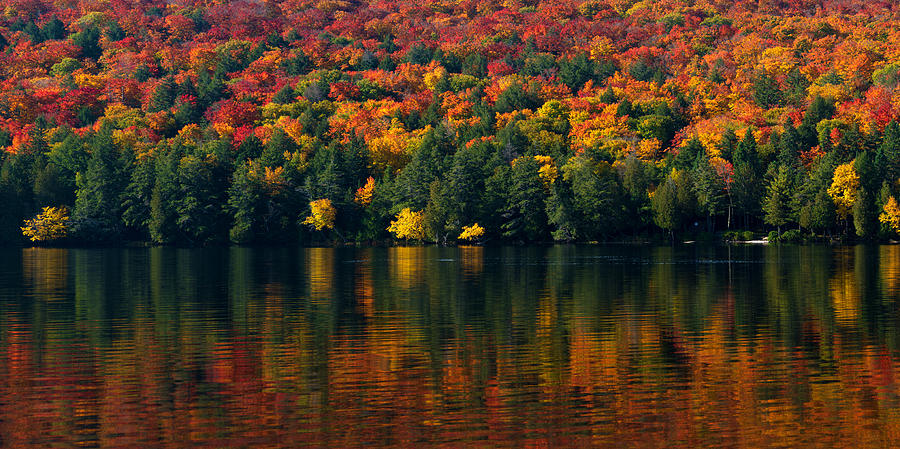 Colourful Fall Reflection Photograph by Andy Fung