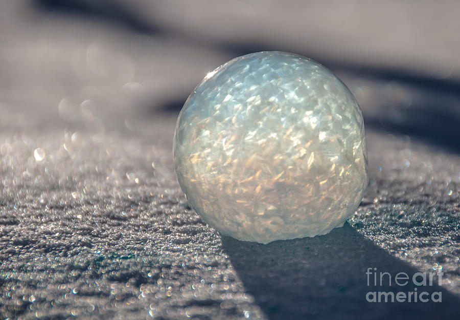 Colourful Frozen Bubble Photograph by Cheryl Baxter