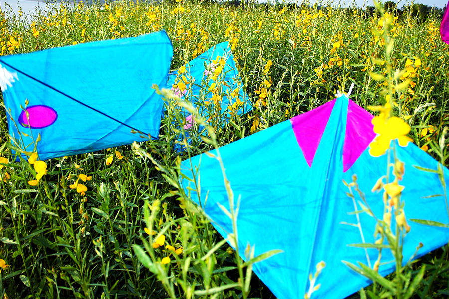 Colourful kites in a field Photograph by Visage