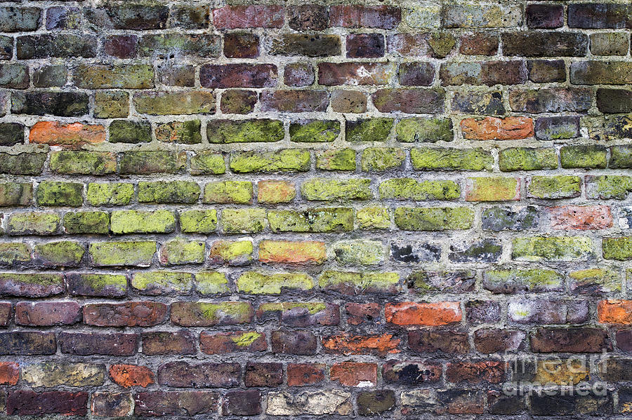 Colourful London Bricks Photograph by Tim Gainey