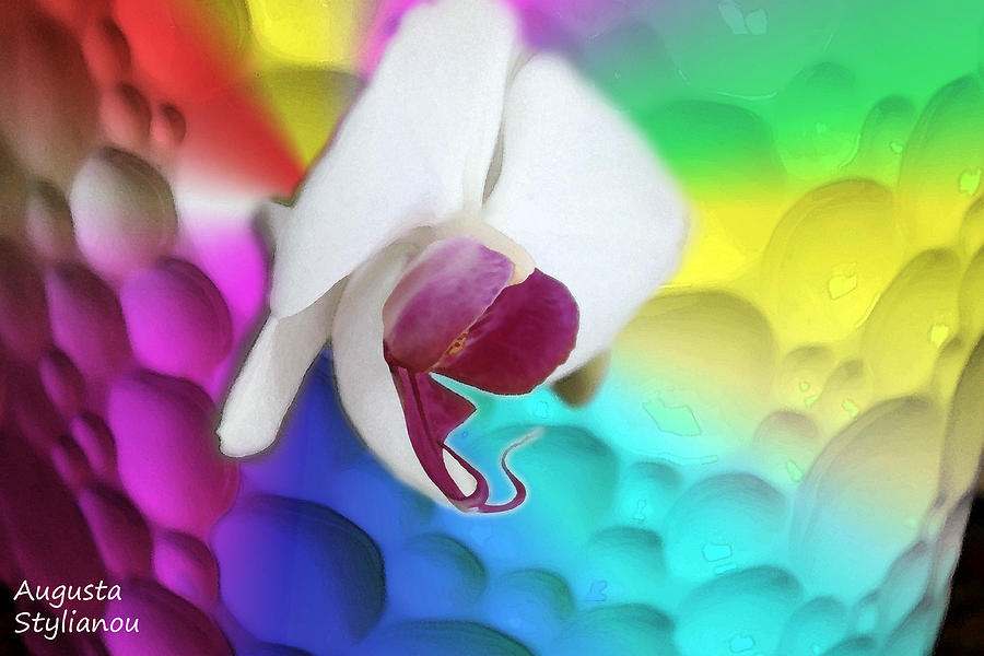 Flowers Still Life Digital Art - Colourful Orchid by Augusta Stylianou