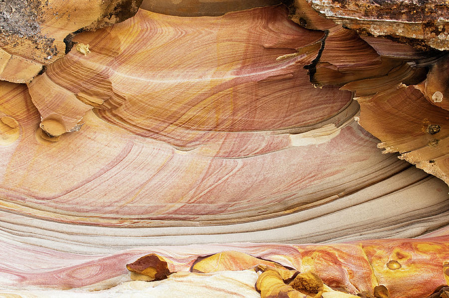 Colourful Sandstone Formations On Telok Photograph by Anders Blomqvist