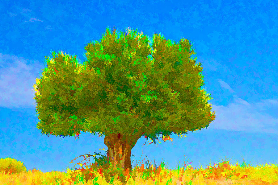 Colourful Tree Digital Art by Roy Pedersen