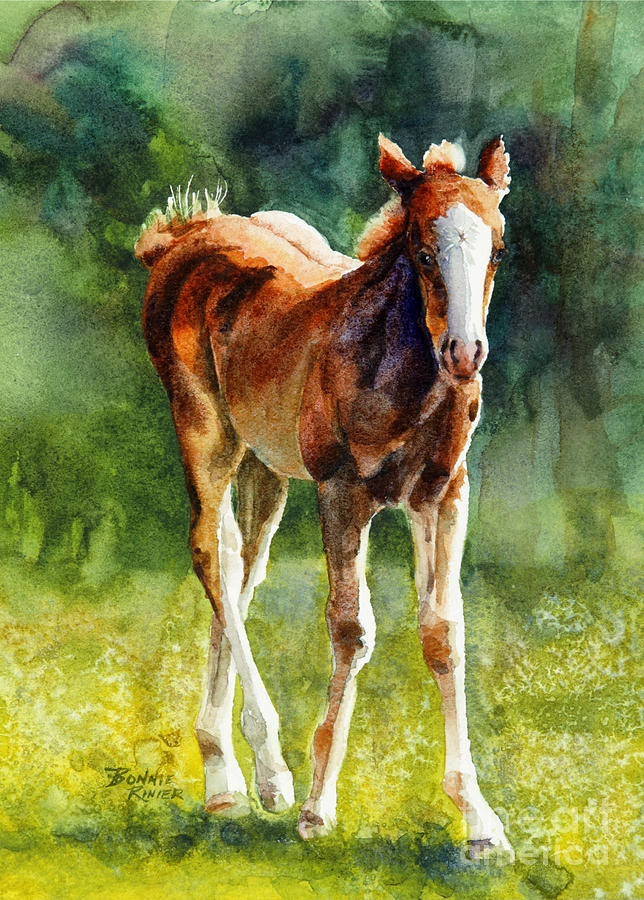 Colt in Green Pastures Painting by Bonnie Rinier