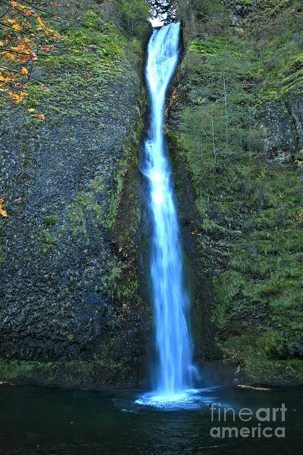 Columbia Gorge Horsetail Photograph by Adam Jewell