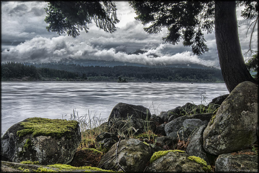 Columbia River Coast Photograph by Erika Fawcett