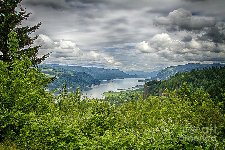 Columbia River Gorge Photograph by Carrie Cranwill