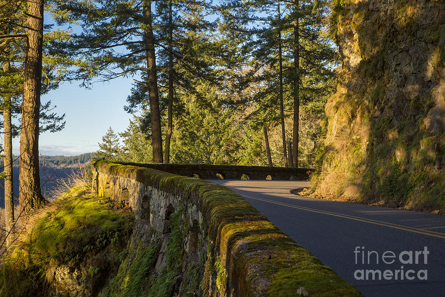 Columbia River Gorge Highway Photograph by Brian Jannsen