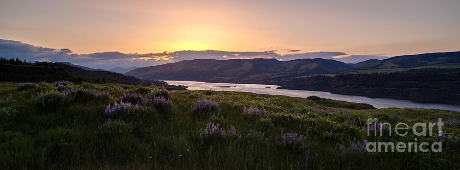 Columbia River Sunset Rowena Crest Photograph