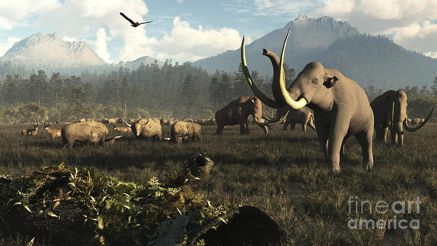 Columbian Mammoths And Bison Roam Digital Art by Arthur Dorety
