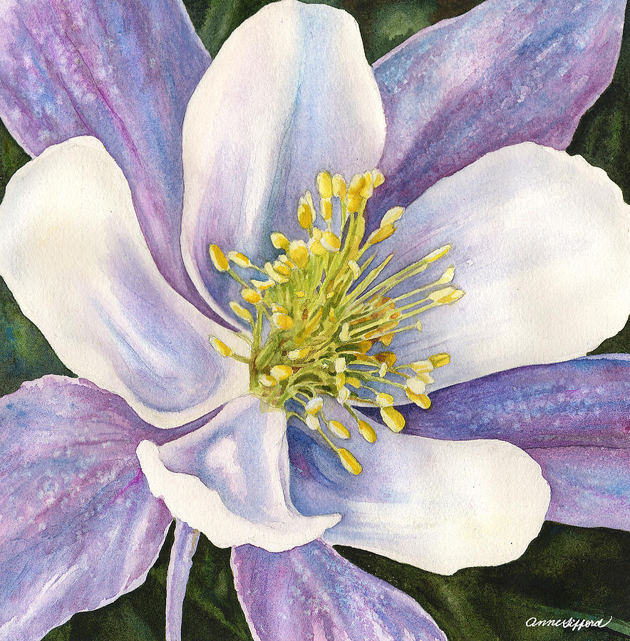 Columbine Closeup Painting by Anne Gifford
