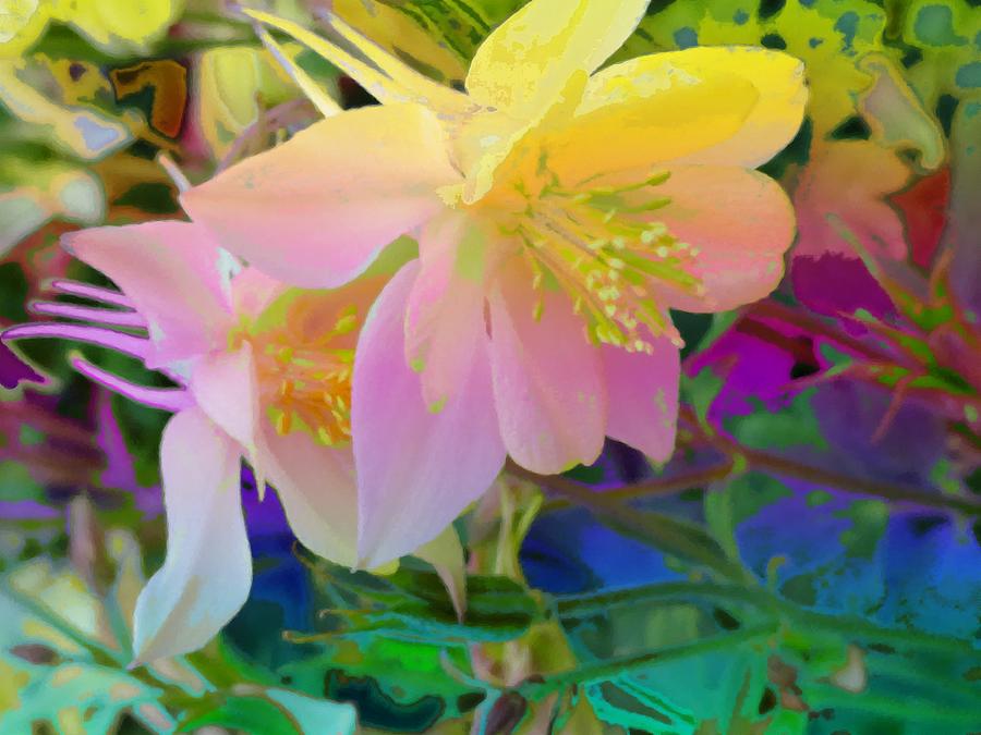 Abstract Photograph - Columbine by Mike Breau