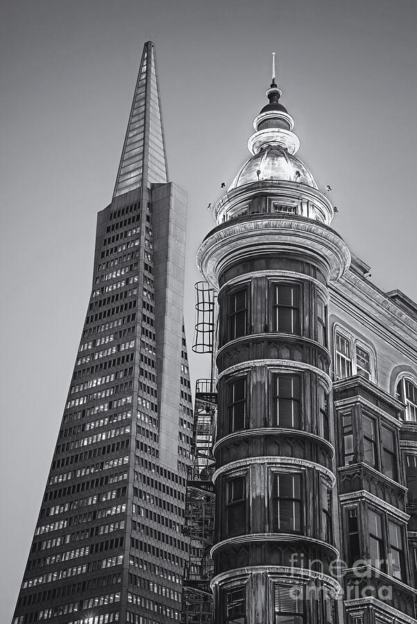 San Francisco Photograph - Columbus and Transamerica Towers bw by Jerry Fornarotto