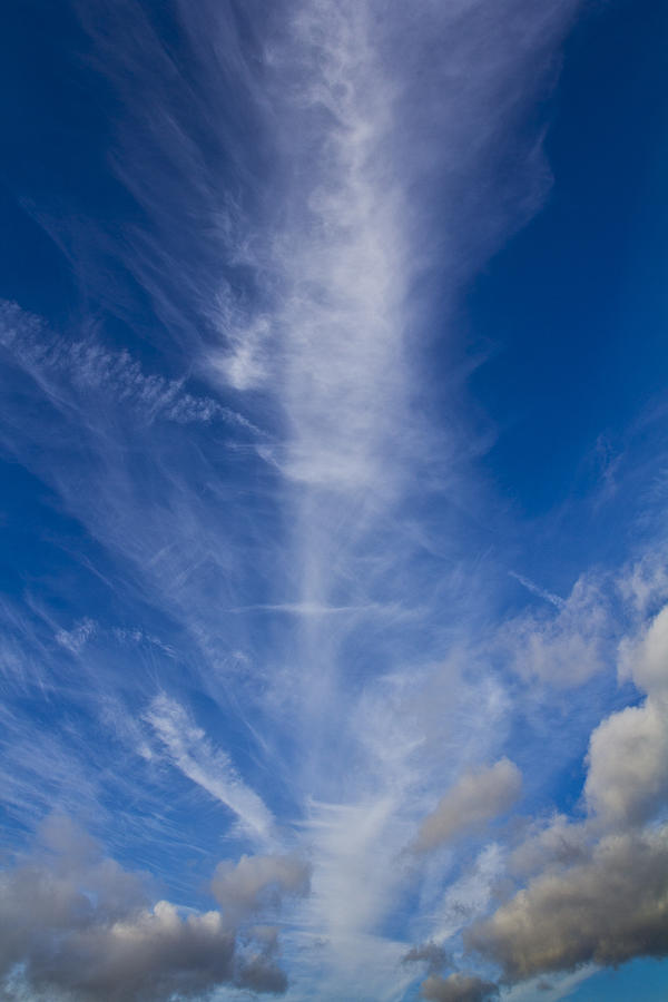 Column cloud Photograph by David Pyatt