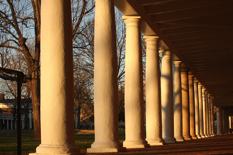 Columns at the University of Virginia Photograph by Emanuel Tanjala