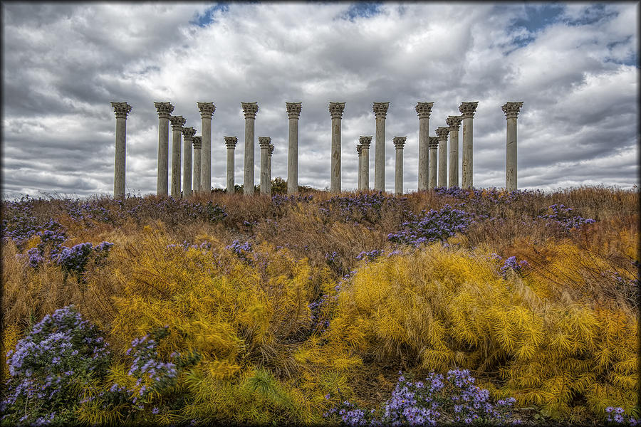 Columns in Fall colors Photograph by Erika Fawcett