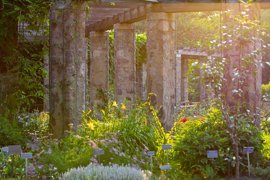 Columns in the Garden Photograph by Debbie Nobile - Fine Art America