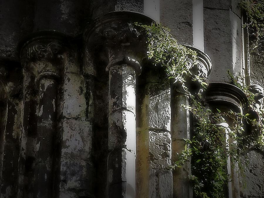 Columns of Cashel Photograph by Nadalyn Larsen
