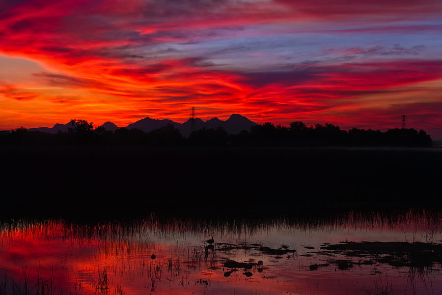 Colusa Sunrise Photograph by Kathleen Bishop