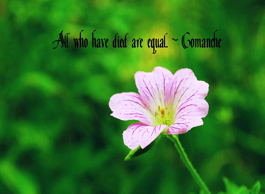 Comanche Photograph - Comanche Proverb by Gary Wonning Comanche Photograph - Comanche Proverb by Gary Wonning