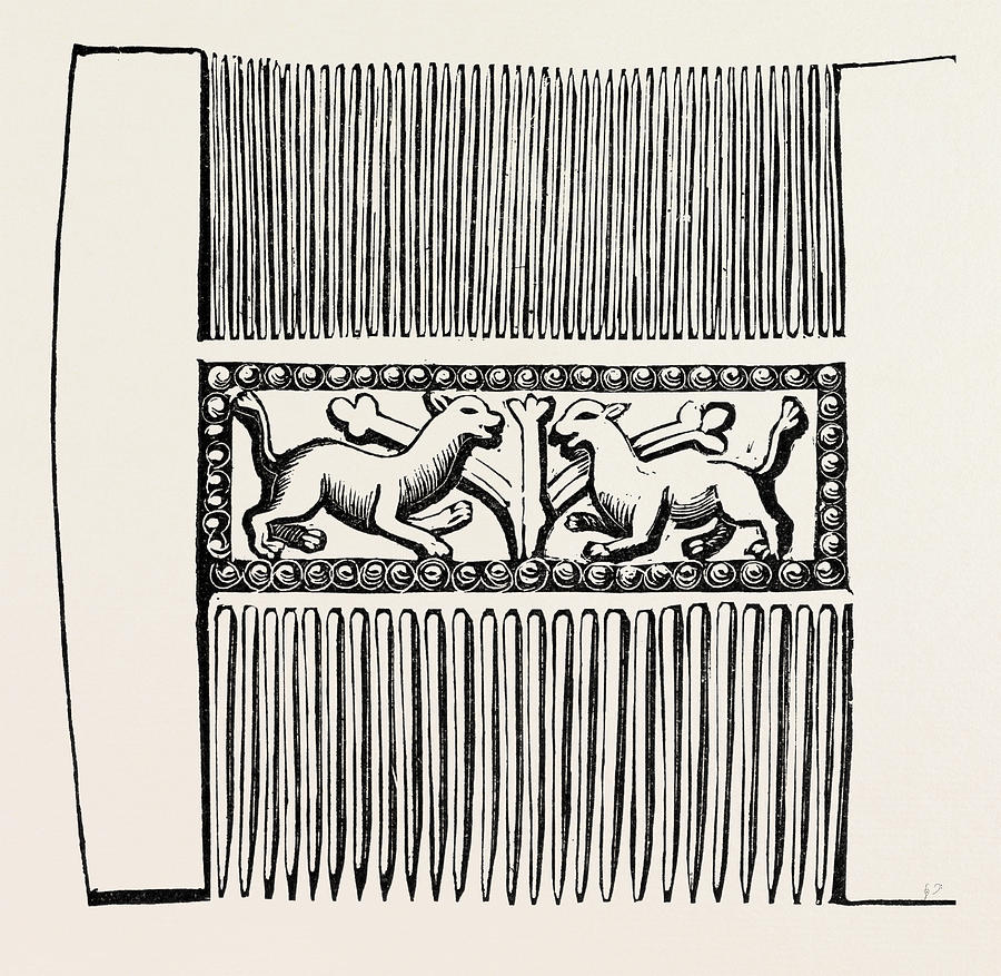 Comb In Ivory Drawing by English School Fine Art America