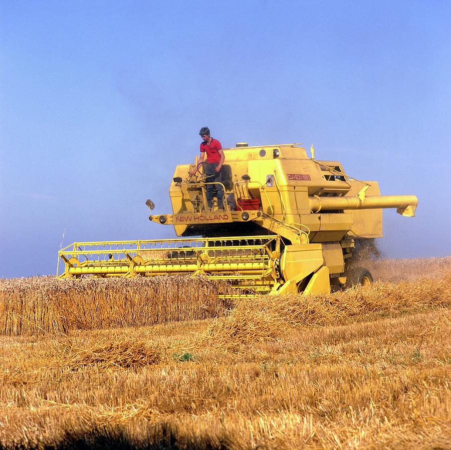 Combine Harvester At Work by Alex Bartel/science Photo Library