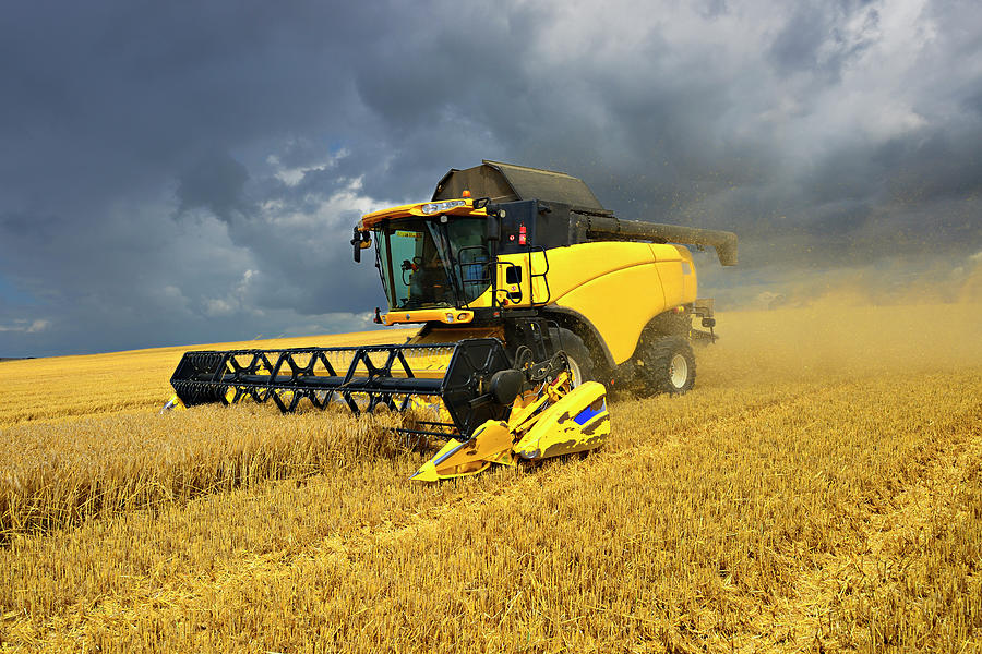 Combine Harvester In Field Cutting Photograph by Avtg