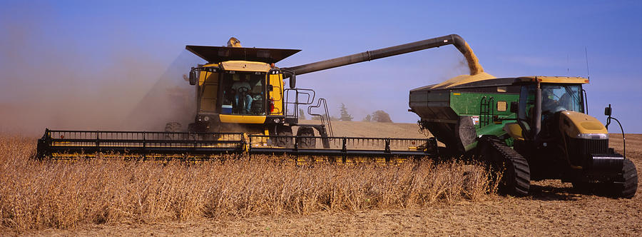 Combine Harvesting Soybeans In A Field Photograph by Panoramic Images