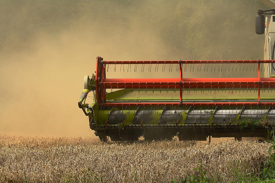 Combine photograph by hilary billinghurst pixels