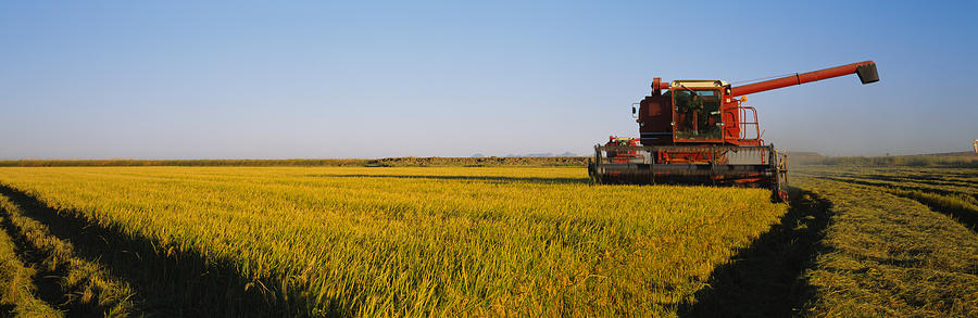 Combine In A Rice Field, Glenn County Photograph by Panoramic Images