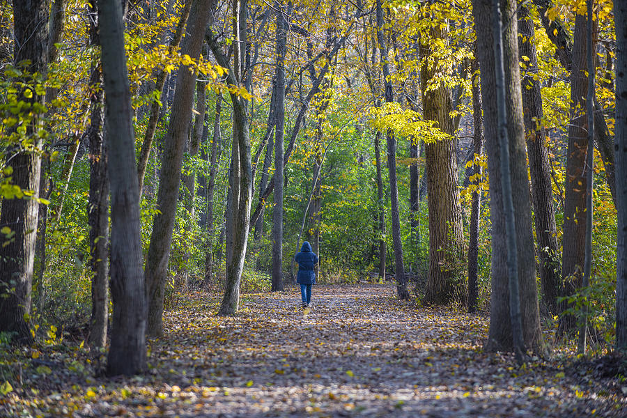 Fall Photograph - Come For a Walk by Sebastian Musial