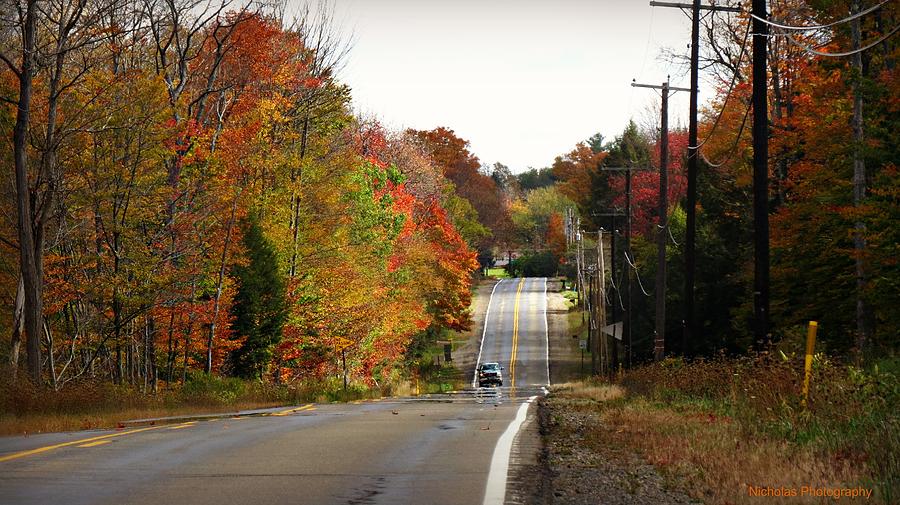 Come Home Photograph by Kimberly Nicholas - Fine Art America