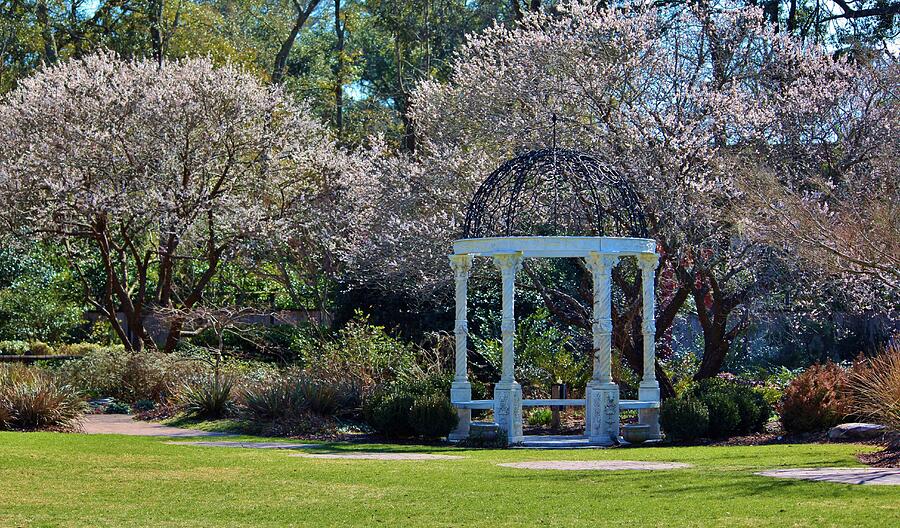 Come Into The Garden Photograph by Cynthia Guinn