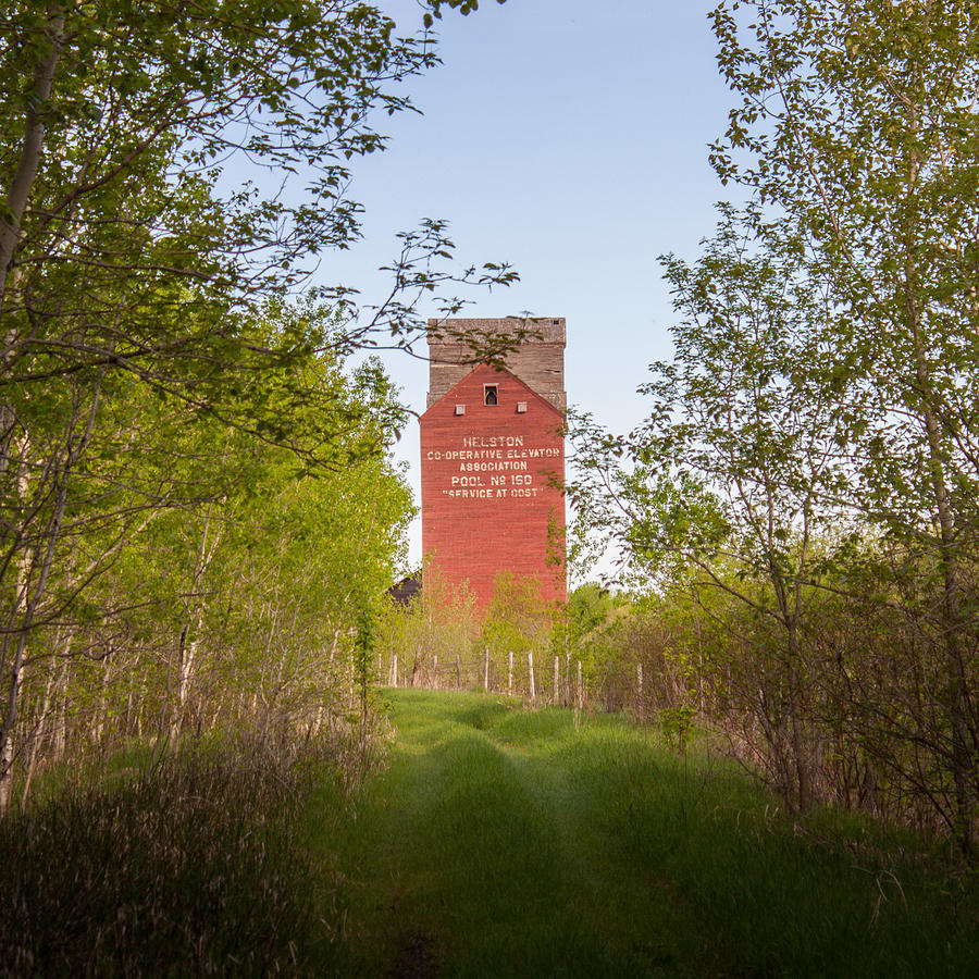 Grain Elevator Photograph - Grain Elevator In Corridor Of Trees by Steve Boyko Grain Elevator Photograph - Grain Elevator In Corridor Of Trees by Steve Boyko