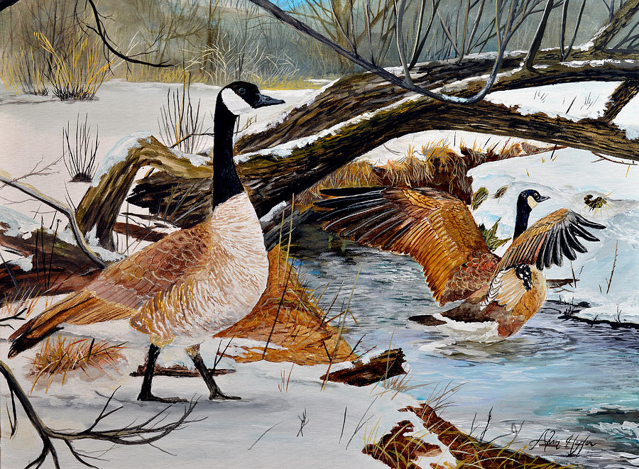 Geese Painting - Come On In Its Not to Cold by Alvin Hepler