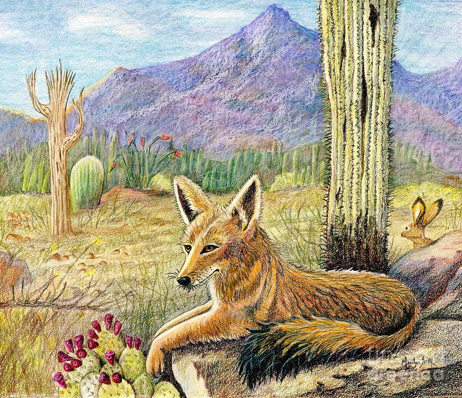 Wildlife Drawing - Come One Step Closer by Marilyn Smith