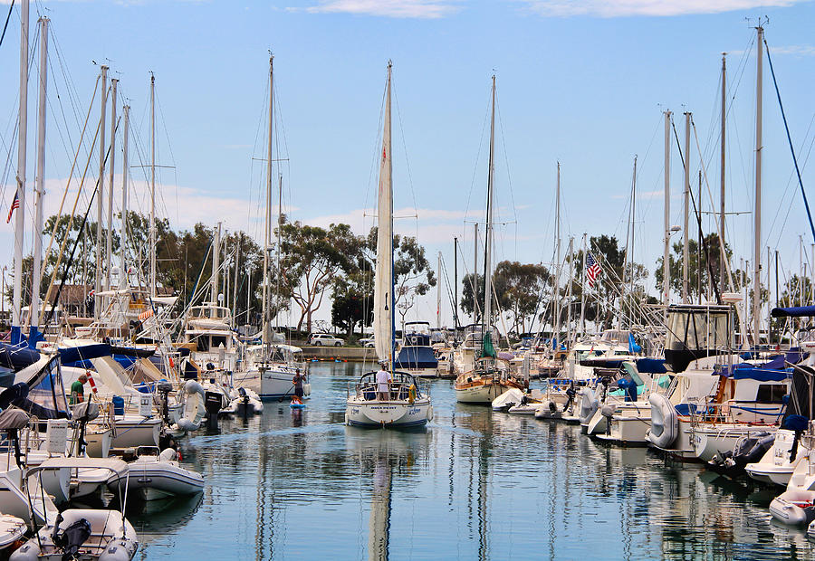 Dana Point Photograph - Come sail away by Tammy Espino