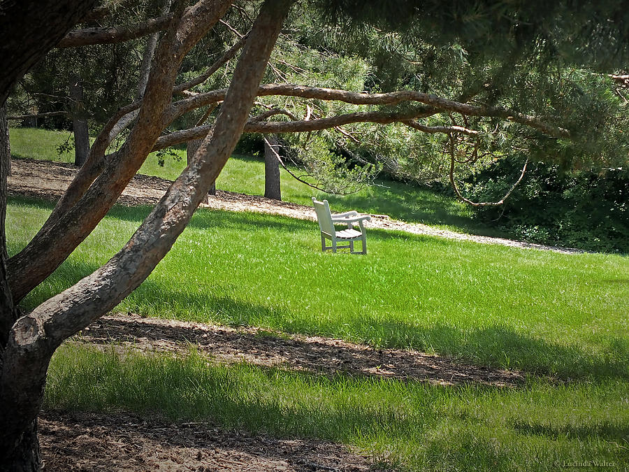 Come Sit - Enjoy Photograph by Lucinda Walter