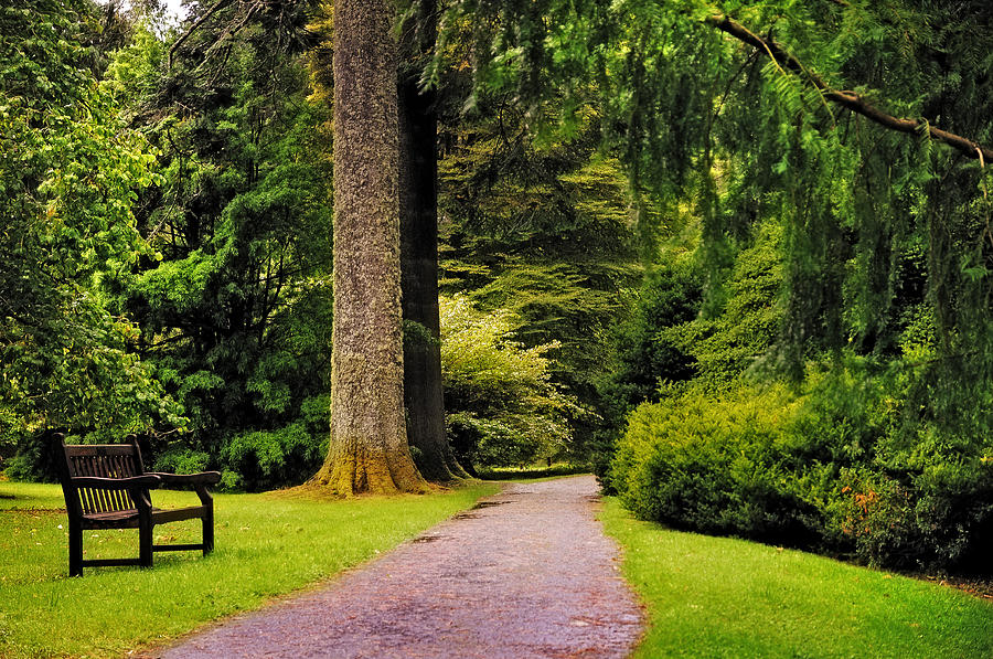 Come Sit with Me. Benmore Botanical Garden. Scotland Photograph by Jenny Rainbow